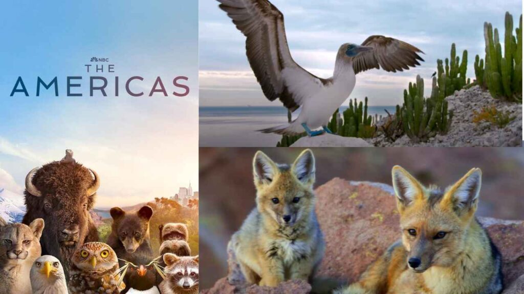 The Americas Docuseries featuring Tom Hanks takes viewers on an epic wild safari adventure across breathtaking landscapes.