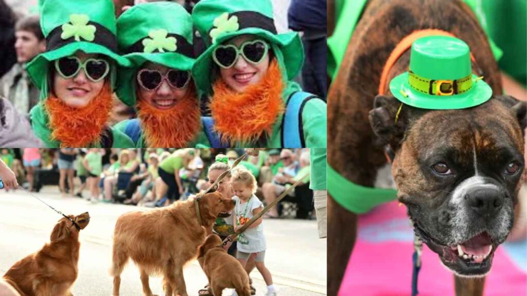 Celebrate St Patricks Day in Bucks County with lively parades, Irish music, and festive events.