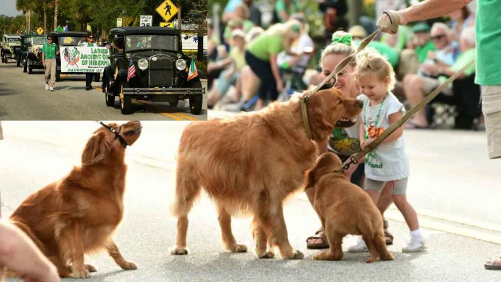 "St Patricks Day in Bucks County: Unmissable Parades & Festive Celebrations Full of Joy and Irish Spirit!"